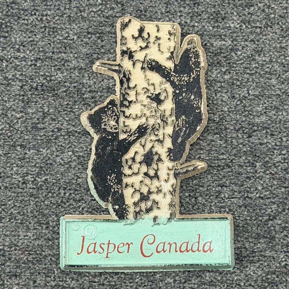 Vintage Jasper Canada Fridge Magnet Black Bears Tree Cape Girardeau Souvenir USA